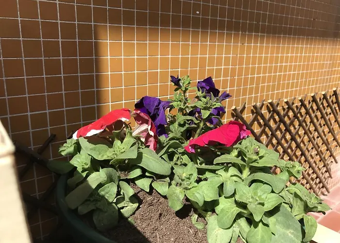 Penzion A Casa Margaridas